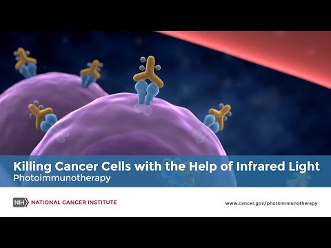 Killing Cancer Cells with the Help of Infrared Light - Photoimmunotherapy