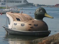 sauna duck