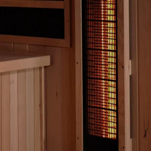 Orion 4 Person Commercial Grade Full-Spectrum Infrared Salt Sauna