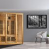 Solaris 3 Person Low EMF Far Infrared Home Sauna